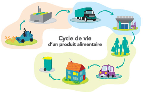 Cycle de vie de l’aliment